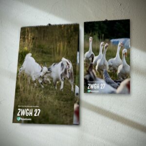 PRE-ORDER NOW! Foto Wandkalender - ZWGH 27